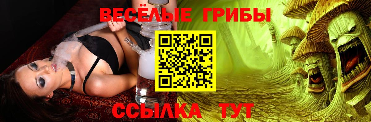 Псилоцибиновые грибы Cubensis  Вход с VPN  Кропоткин 